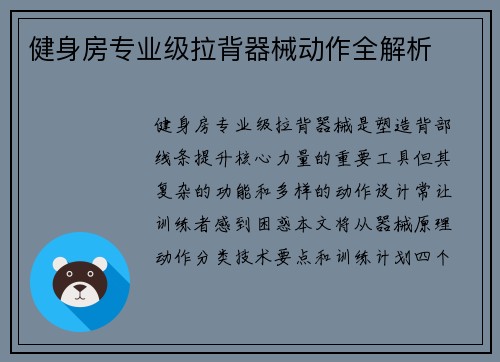 健身房专业级拉背器械动作全解析